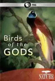 دانلود فیلم Birds of the Gods 2011