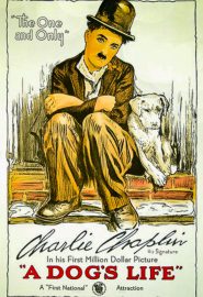 دانلود فیلم A Dog’s Life 1918