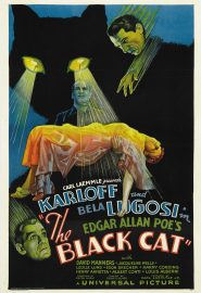 دانلود فیلم The Black Cat 1934