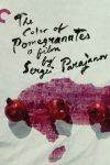 دانلود فیلم The Color of Pomegranates 1969