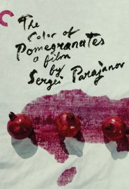 دانلود فیلم The Color of Pomegranates 1969