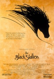دانلود فیلم The Black Stallion 1979
