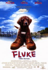 دانلود فیلم Fluke 1995