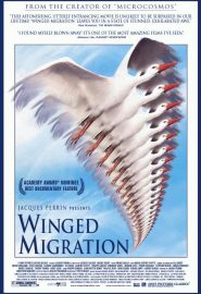دانلود فیلم Winged Migration 2001