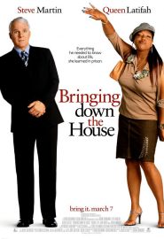 دانلود فیلم Bringing Down the House 2003