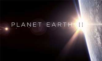 دانلود مستند Planet Earth II