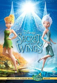 دانلود فیلم Secret of the Wings 2012