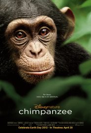 دانلود فیلم Chimpanzee 2012