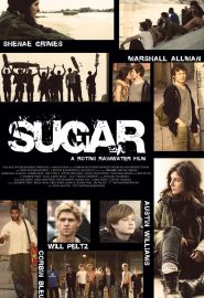 دانلود فیلم Sugar 2013