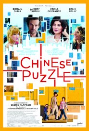 دانلود فیلم Chinese Puzzle 2013