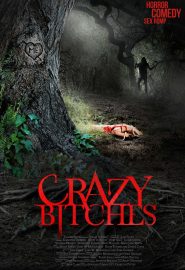 دانلود فیلم Crazy Bitches 2014