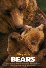 دانلود فیلم Bears 2014
