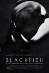 دانلود فیلم Blackfish 2013