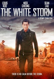 دانلود فیلم The White Storm 2013