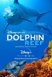 دانلود فیلم Dolphin Reef 2020