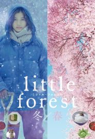 دانلود فیلم Little Forest: Winter/Spring 2015