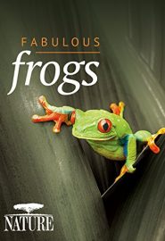 دانلود فیلم Fabulous Frogs 2014