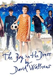 دانلود فیلم The Boy in the Dress 2014