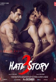 دانلود فیلم Hate Story 3 2015