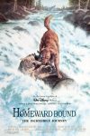دانلود فیلم Homeward Bound: The Incredible Journey 1993