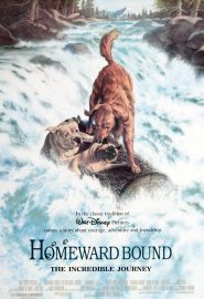 دانلود فیلم Homeward Bound: The Incredible Journey 1993
