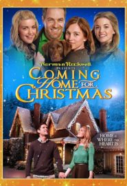 دانلود فیلم Coming Home for Christmas 2013