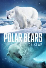 دانلود فیلم Polar Bears: Ice Bear 2013