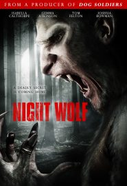 دانلود فیلم 13 Hrs (Night Wolf) 2010
