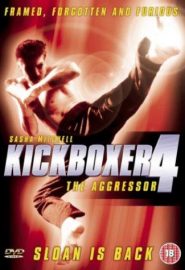 دانلود فیلم Kickboxer 4: The Aggressor 1994