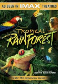 دانلود فیلم Tropical Rainforest 1992