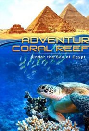 دانلود فیلم Adventure Coral Reef 3D Under the Sea of Egypt 2013