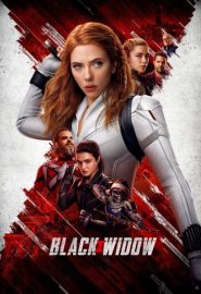 دانلود فیلم Black Widow 2020
