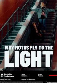 دانلود فیلم Why Moths Fly to the Light? 2020