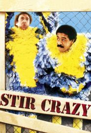 دانلود فیلم Stir Crazy 1980