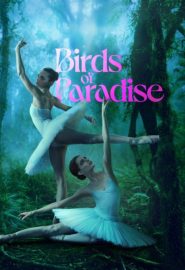 دانلود فیلم Birds of Paradise 2021
