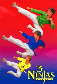 دانلود فیلم 3 Ninjas Kick Back 1994