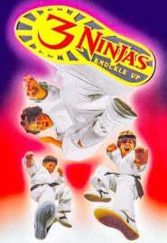 دانلود فیلم 3 Ninjas Knuckle Up 1995