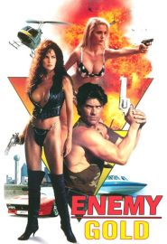 دانلود فیلم Enemy Gold 1993