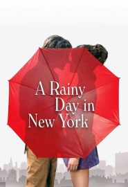 دانلود فیلم A Rainy Day in New York 2019