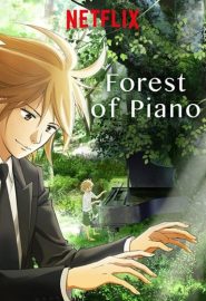 دانلود سریال انیمیشنی Forest of Piano | Piano no Mori