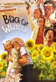 دانلود فیلم Black Cat White Cat 1998