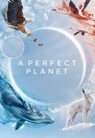 دانلود مینی سریال A Perfect Planet