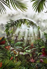 دانلود سریال The Green Planet