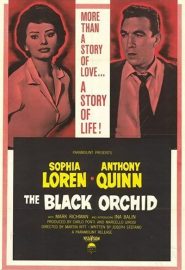 دانلود فیلم The Black Orchid 1958