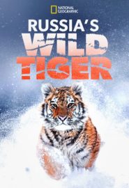 دانلود فیلم Big Cat Week: Russia’s Wild Tiger 2022