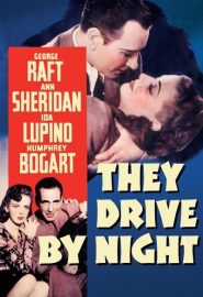 دانلود فیلم They Drive by Night 1940