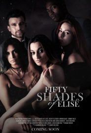 دانلود فیلم Darker Shades of Elise 2017