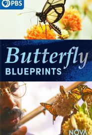 دانلود فیلم Butterfly Blueprints 2022