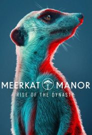 دانلود سریال Meerkat Manor: Rise of the Dynasty