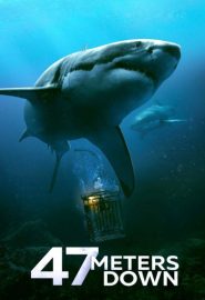 دانلود فیلم In the Deep (47 Meters Down) 2016